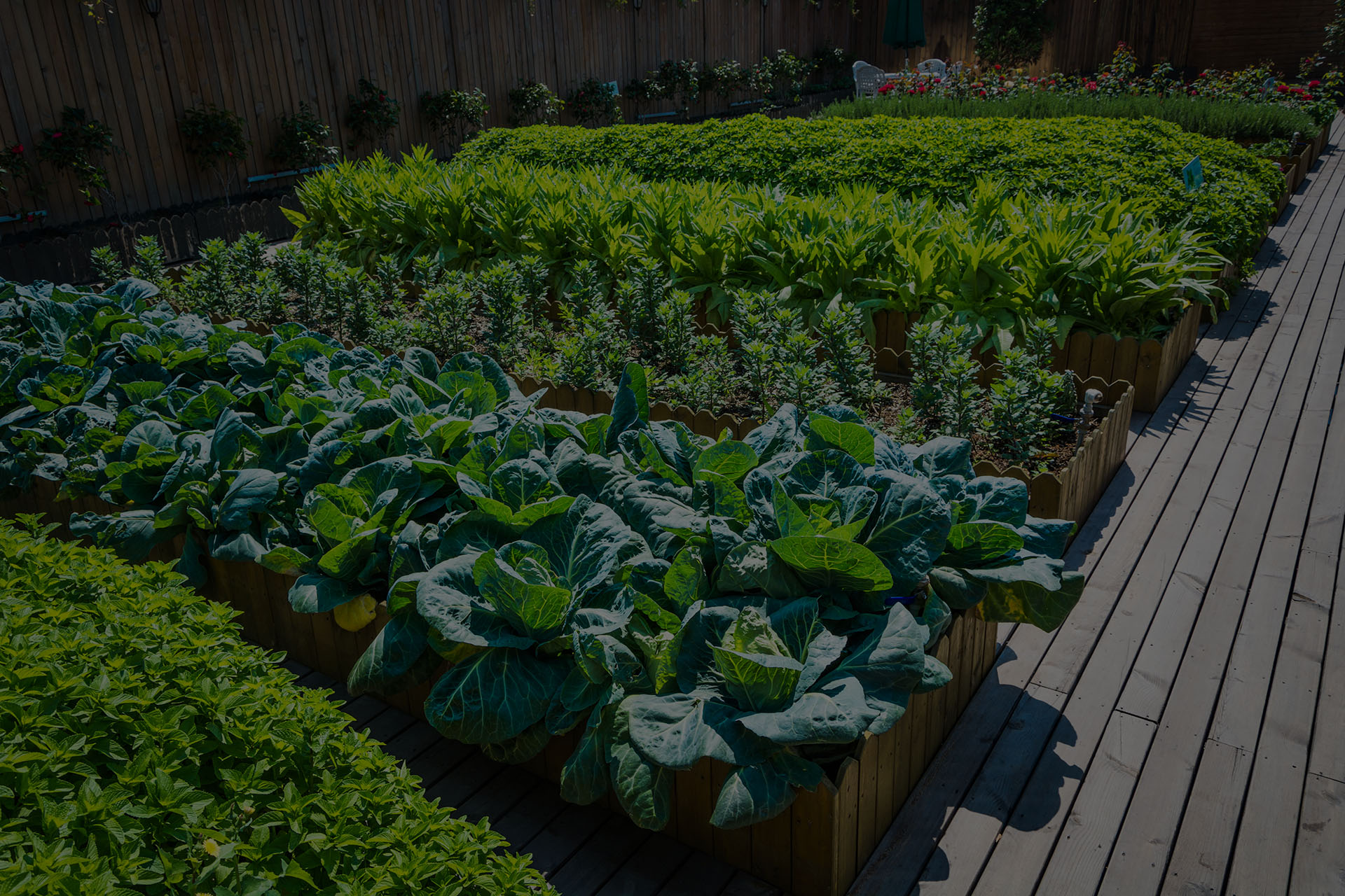 irrigazione-orto-e-giardino