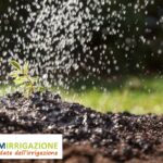 L'Irrigazione del Giardino: Perché Utilizzarla e i Suoi Vantaggi