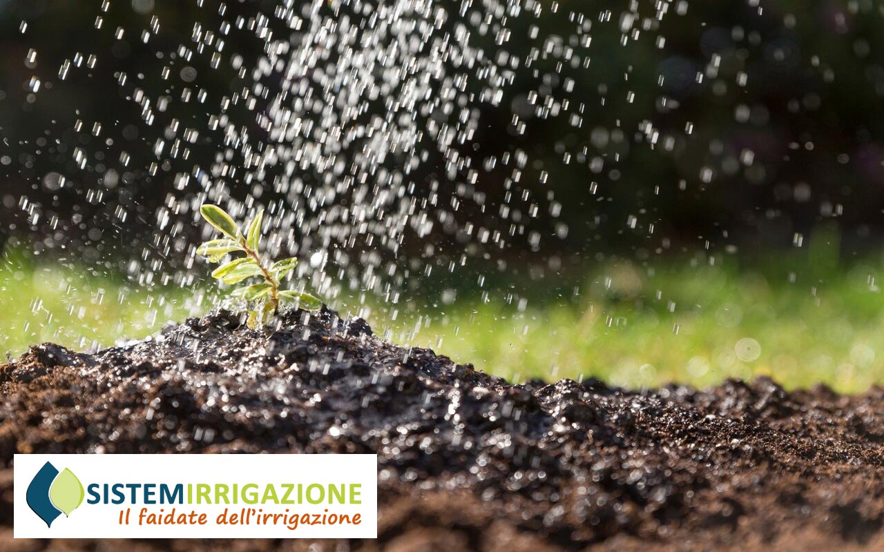 L'Irrigazione del Giardino: Perché Utilizzarla e i Suoi Vantaggi